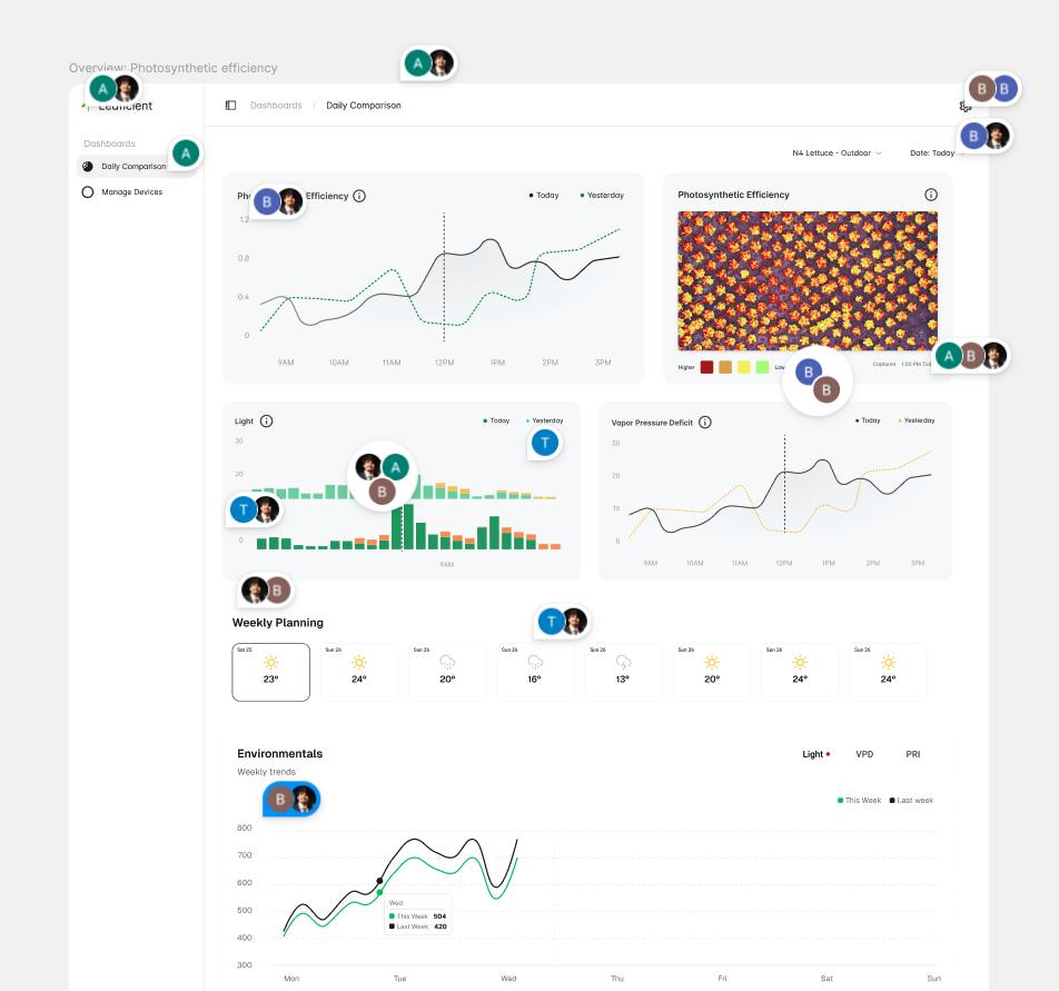 MVP dashboard screenshot with daily comparison grid